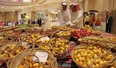 UAE Rutab Season Summer Date Harvest